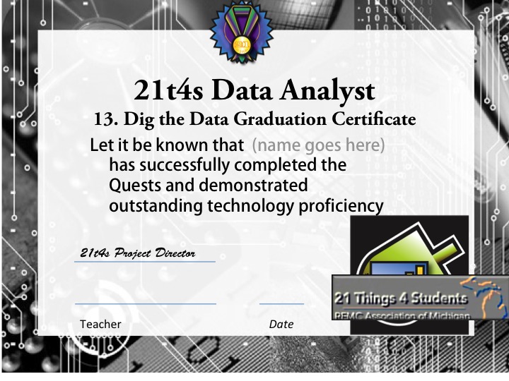 13.dataanalyst